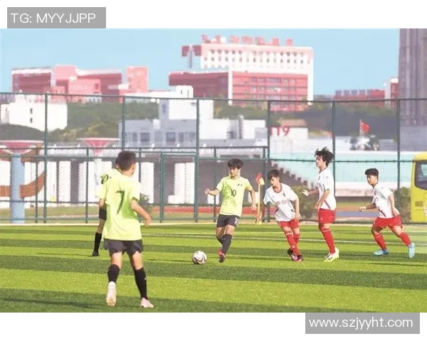 足球明星普拉提的传奇之路与他对足球的热爱与奉献